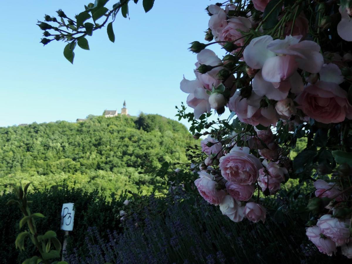 Bed and Breakfast Les 5 Petits Lapins Bar Esterno foto