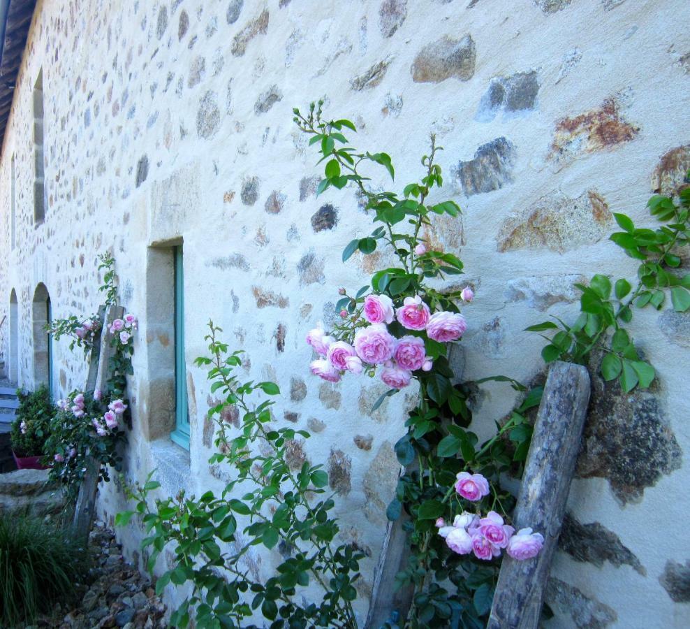 Bed and Breakfast Les 5 Petits Lapins Bar Esterno foto